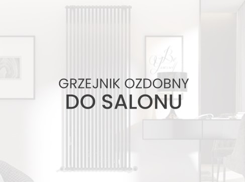Grzejnik ozdobny do salonu – funkcja dekoracyjna i grzewcza